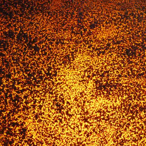 Orange Glow